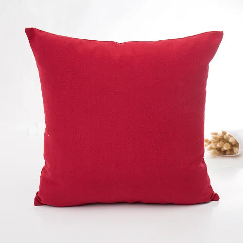 Coussin Chic pour Sublimer Votre Salon