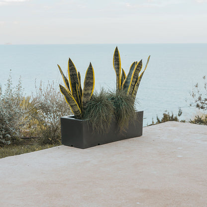 Pot Chic pour Énergiser Votre Espace