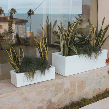 Pot Chic pour Énergiser Votre Espace