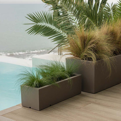 Pot Chic pour Énergiser Votre Espace