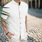 Chemise en lin homme - Confort et style par Sandro